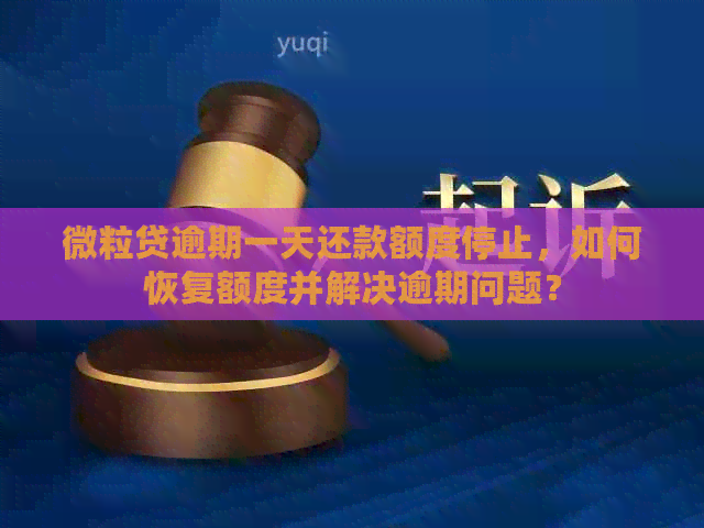 微粒贷逾期一天还款额度停止，如何恢复额度并解决逾期问题？