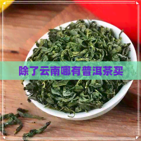 除了云南哪有普洱茶买