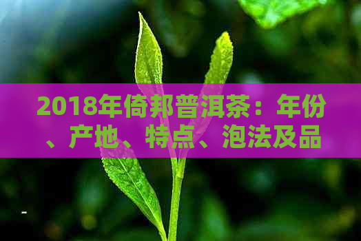 2018年倚邦普洱茶：年份、产地、特点、泡法及品鉴全解析