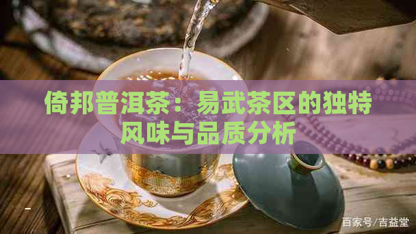 倚邦普洱茶：易武茶区的独特风味与品质分析