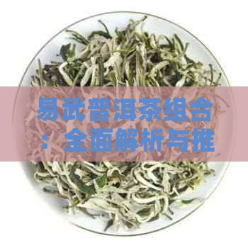 易武普洱茶组合：全面解析与推荐，助您轻松选购优质茶品