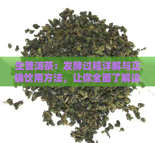 生普洱茶：发酵过程详解与正确饮用方法，让你全面了解这种独特的茶叶