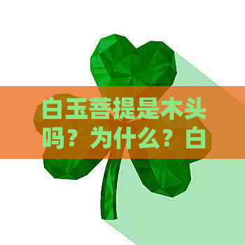 白玉菩提是木头吗？为什么？白玉菩提到底是什么材质？