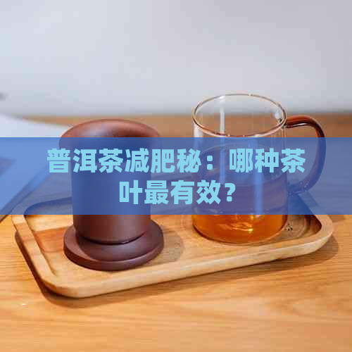 普洱茶减肥秘：哪种茶叶最有效？