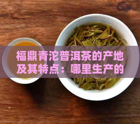 福鼎青沱普洱茶的产地及其特点：哪里生产的茶叶更值得收藏？