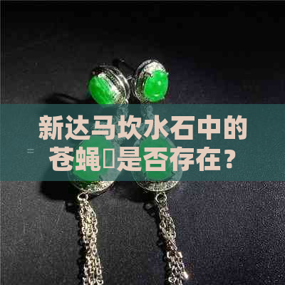 新达马坎水石中的苍蝇趐是否存在？