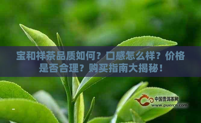 宝和祥茶品质如何？口感怎么样？价格是否合理？购买指南大揭秘！