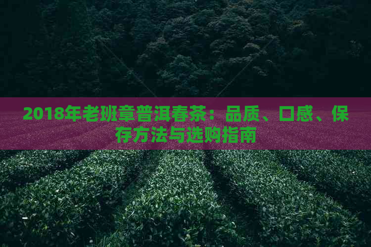 2018年老班章普洱春茶：品质、口感、保存方法与选购指南