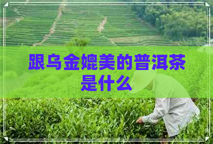 跟乌金媲美的普洱茶是什么