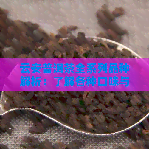 云安普洱茶全系列品种解析：了解各种口味与特点，挑选适合自己的茶品