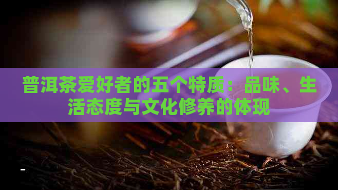 普洱茶爱好者的五个特质：品味、生活态度与文化修养的体现