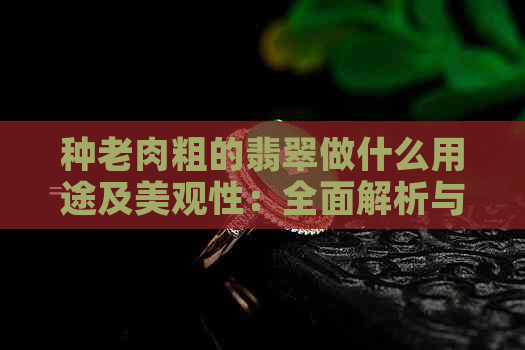 种老肉粗的翡翠做什么用途及美观性：全面解析与比较