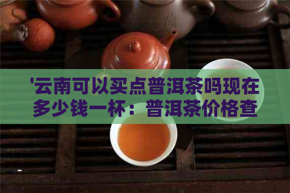 '云南可以买点普洱茶吗现在多少钱一杯：普洱茶价格查询'