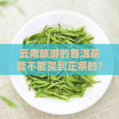 云南旅游的普洱茶能不能买到正宗的？