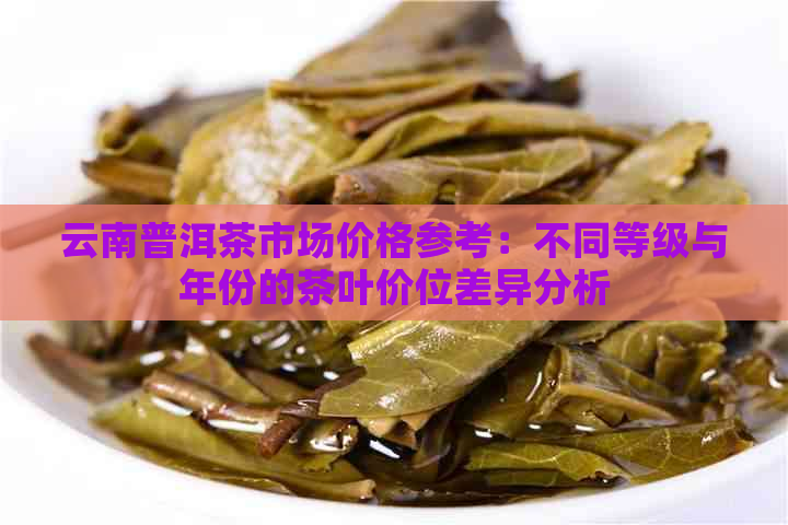 云南普洱茶市场价格参考：不同等级与年份的茶叶价位差异分析