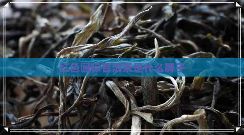 红色圆标普洱茶是什么牌子