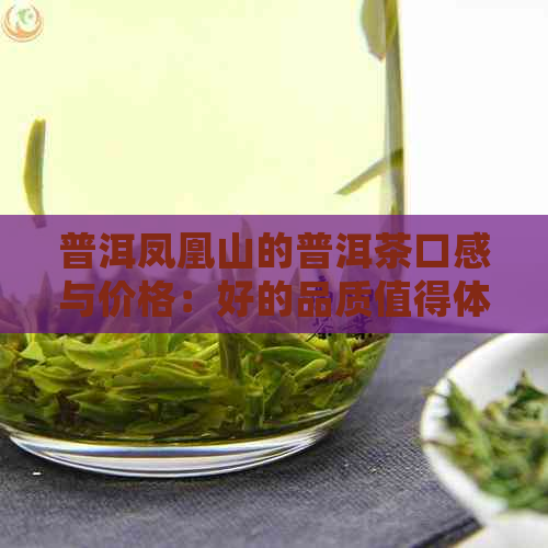 普洱凤凰山的普洱茶口感与价格：好的品质值得体验