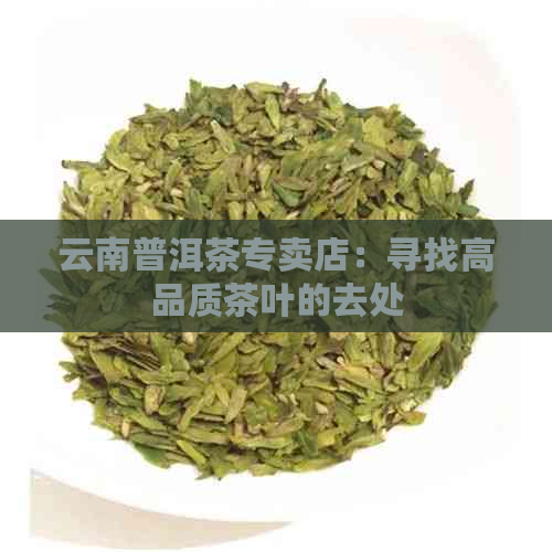 云南普洱茶专卖店：寻找高品质茶叶的去处