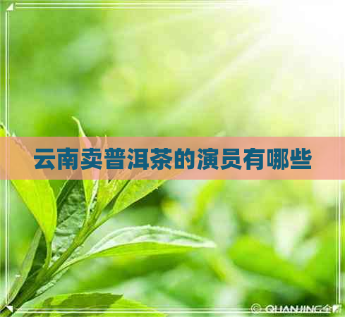 云南卖普洱茶的演员有哪些