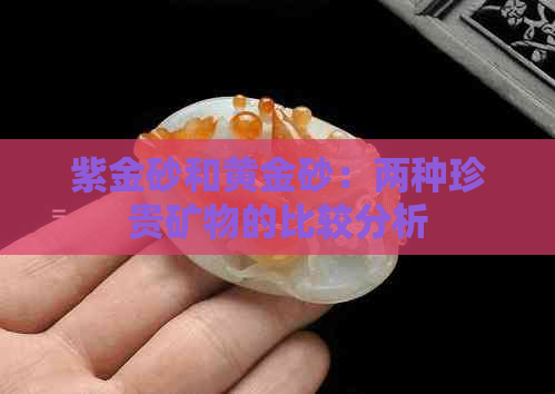 紫金砂和黄金砂：两种珍贵矿物的比较分析