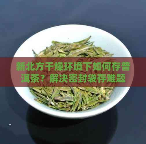 新北方干燥环境下如何存普洱茶？解决密封袋存难题