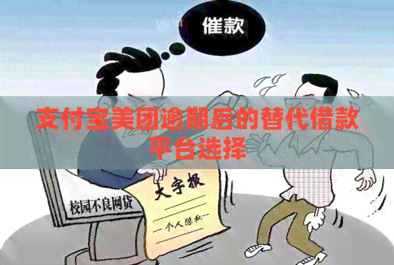 支付宝美团逾期后的替代借款平台选择