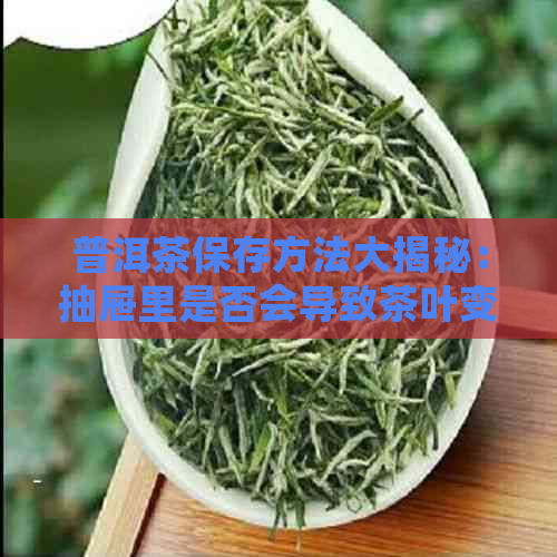 普洱茶保存方法大揭秘：抽屉里是否会导致茶叶变质？为什么？