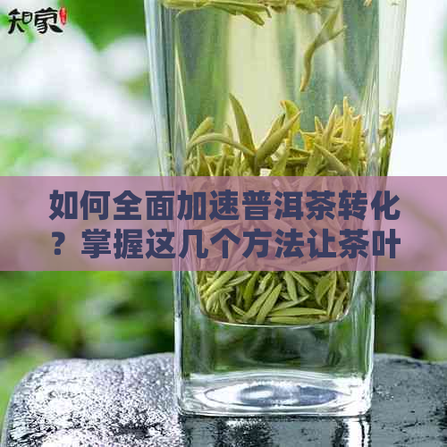 如何全面加速普洱茶转化？掌握这几个方法让茶叶口感更佳