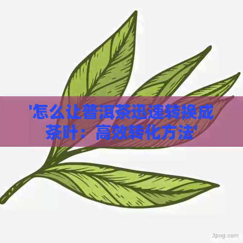 '怎么让普洱茶迅速转换成茶叶：高效转化方法'