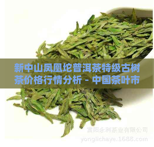 新中山凤凰坨普洱茶特级古树茶价格行情分析 - 中国茶叶市场指南