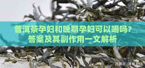 普洱茶孕妇和晚期孕妇可以喝吗？答案及其副作用一文解析