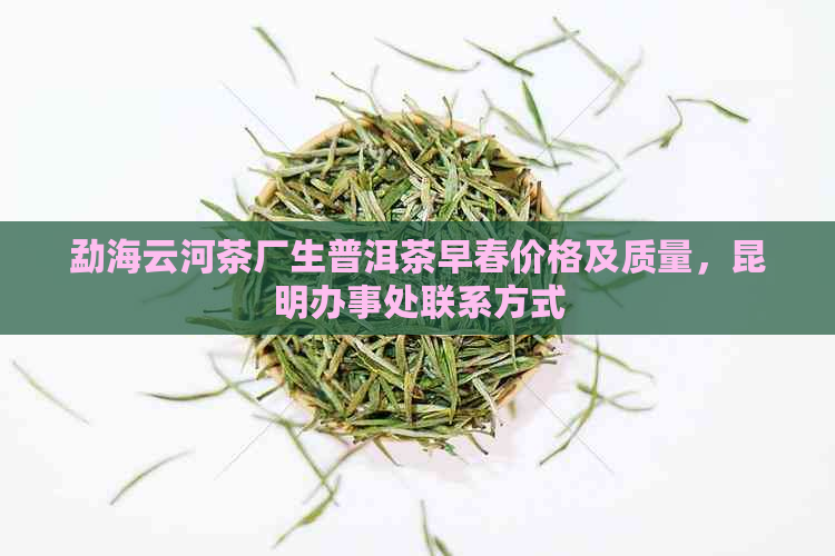 勐海云河茶厂生普洱茶早春价格及质量，昆明办事处联系方式