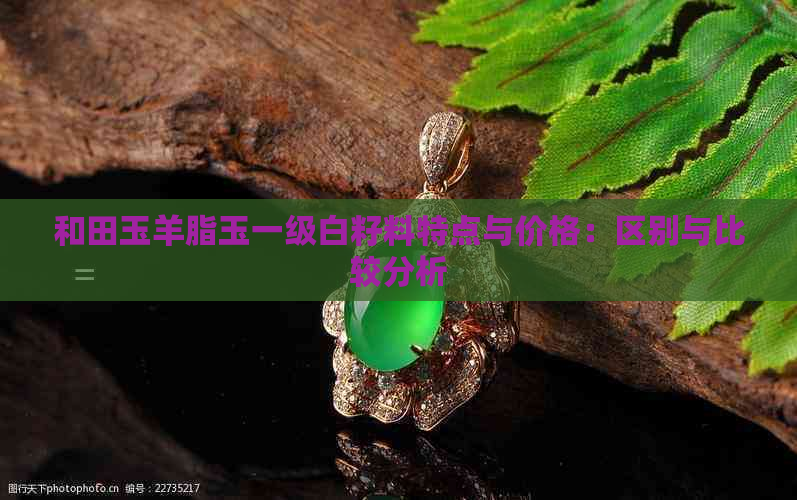 和田玉羊脂玉一级白籽料特点与价格：区别与比较分析