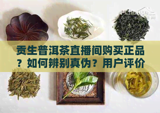 贡生普洱茶直播间购买正品？如何辨别真伪？用户评价和购买指南一应俱全！