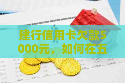 建行信用卡欠款5000元，如何在五天内迅速还清？