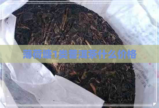 薄荷塘1类普洱茶什么价格