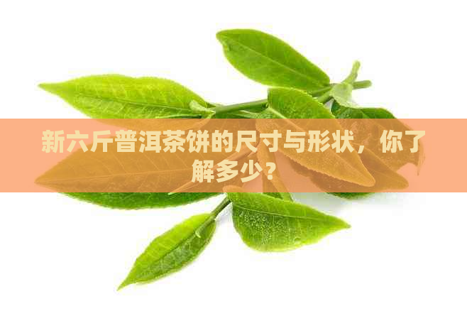 新六斤普洱茶饼的尺寸与形状，你了解多少？