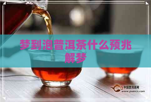 梦到泡普洱茶什么预兆解梦