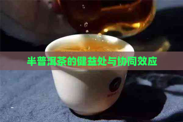 半普洱茶的健益处与协同效应