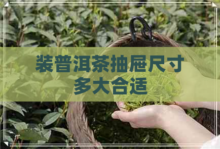 装普洱茶抽屉尺寸多大合适