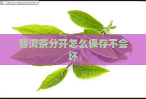 普洱茶分开怎么保存不会坏