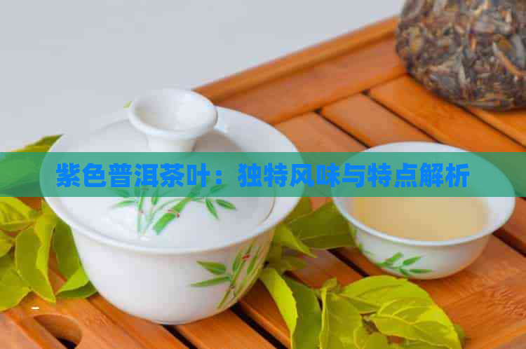 紫色普洱茶叶：独特风味与特点解析