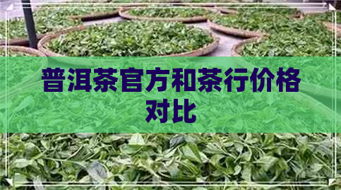 普洱茶官方和茶行价格对比