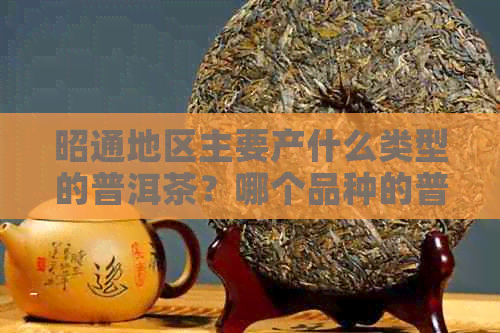 昭通地区主要产什么类型的普洱茶？哪个品种的普洱茶产量最多？