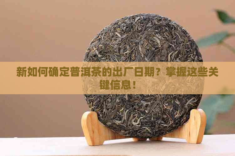 新如何确定普洱茶的出厂日期？掌握这些关键信息！