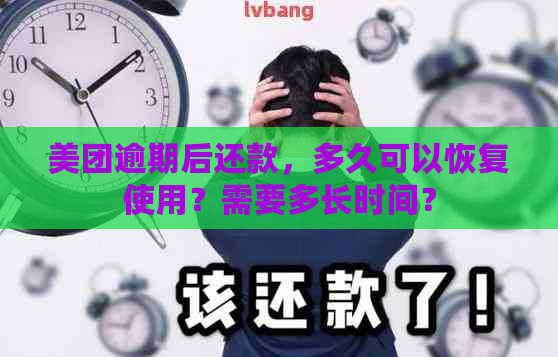 美团逾期后还款，多久可以恢复使用？需要多长时间？