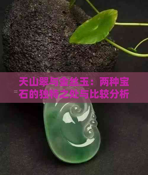 天山翠与金丝玉：两种宝石的独特之处与比较分析