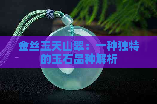 金丝玉天山翠：一种独特的玉石品种解析