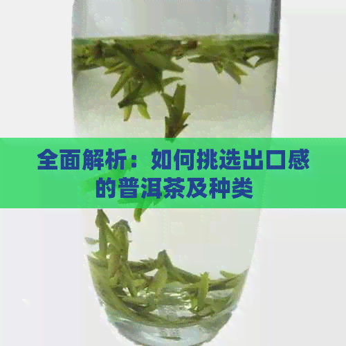 全面解析：如何挑选出口感的普洱茶及种类