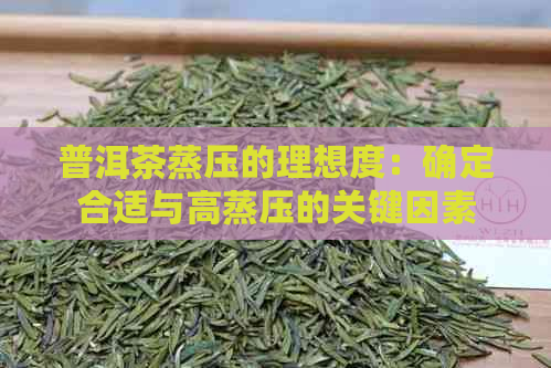 普洱茶蒸压的理想度：确定合适与高蒸压的关键因素